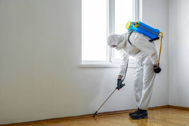 Best Cockroach Control Services  in Agua Dulce, CA